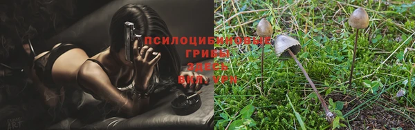 Альфа ПВП Абдулино