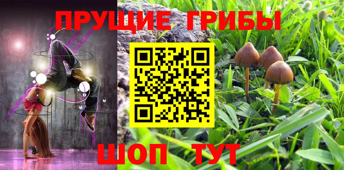 Псилоцибиновые грибы MAGIC MUSHROOMS  Псилоцибиновые грибы Psilocybe  Сорочинск  Вход с VPN 